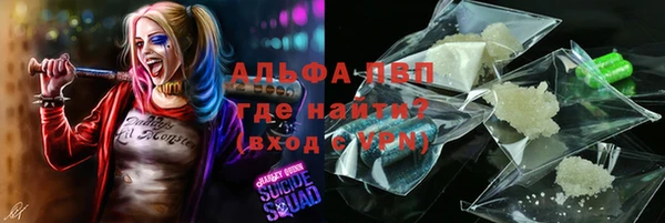 a pvp Алзамай