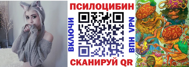 Галлюциногенные грибы Psilocybe  площадка Telegram  Грайворон  где продают  